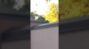 жизнью 1 сезон 4 серия