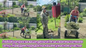 Любой каприз за ваши деньги! А за свои мы натянем сетку. Наводим порядок на нашем жутком участке