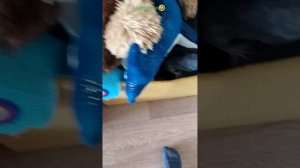 прогулычка)