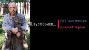 Штурмовики...