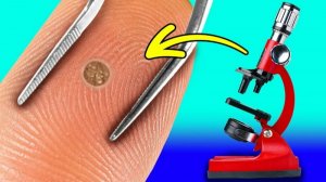 Удивительный микроскопический мир! Обычные объекты под микроскопом ДОМАШНИЕ ЭКСПЕРИМЕНТЫ