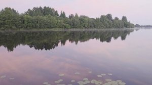 Розовый вечер