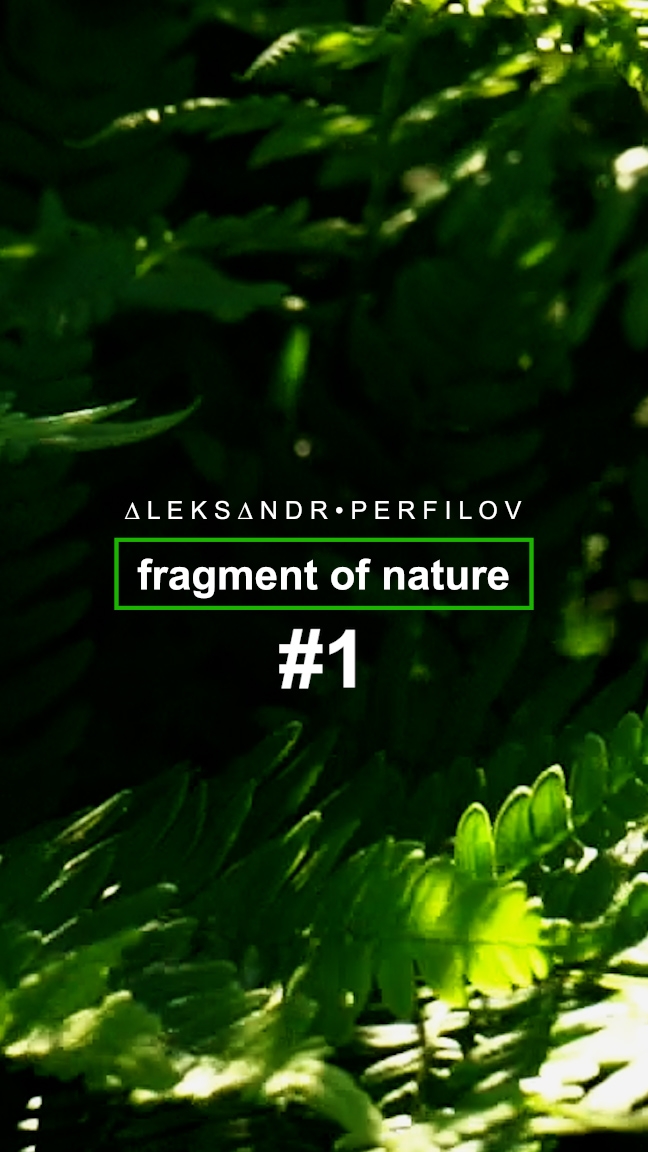 Fragment Of Nature [1]