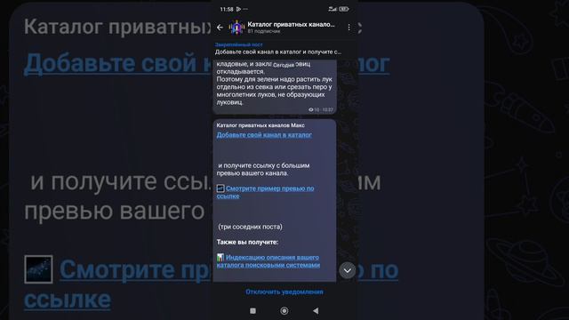 Бот для добавления приватного канала Макс в каталог приватных каналов - версия для мобильных