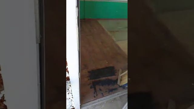 240.mp4 смотреть онлайн