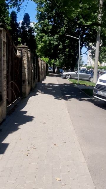 прогулка.