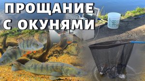 ПРОЩАНИЕ С ОКУНЯМИ