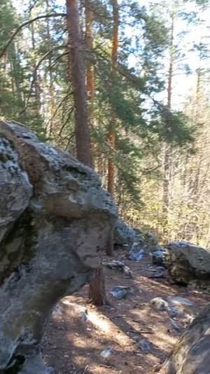Рачейские скалы. Самарская область.