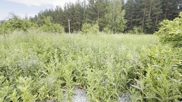 1000014808.mp4 смотреть онлайн