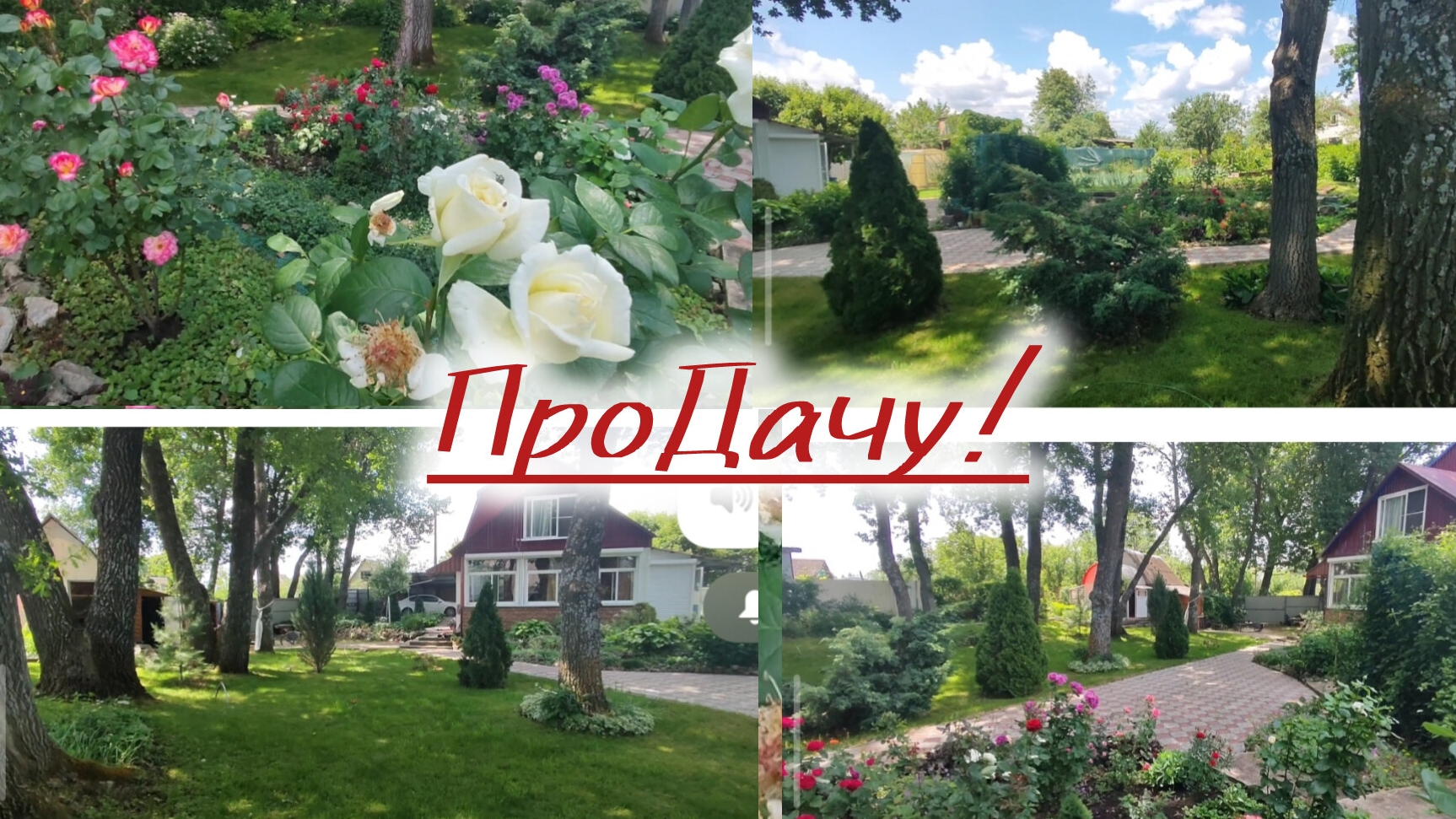 Обход участка и розы🌹 смотреть онлайн