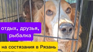 Поездка в Рязань 2026