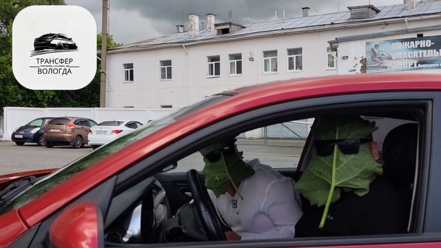 Трансфер Вологда 35