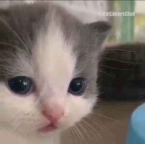 короче говоря моя жизнь