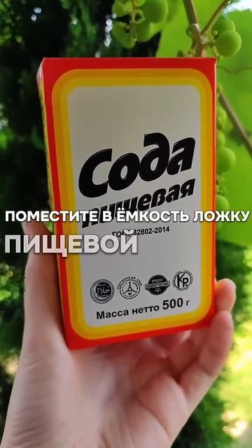 2026-06-18 смотреть онлайн