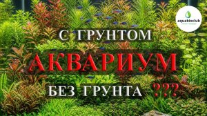 Аквариум с грунтом или без грунта? Все плюсы и минусы.
