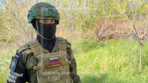 Сводка СК РФ за 18.06.2026