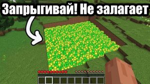 Впечатляющие вещи в Майнкрафт