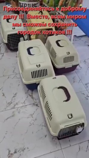 Присоединяйтесь...
