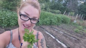 Алиса Неземная. НАРВАЛА САМА В ОГОРОДЕ КИНЗУ- ТЕПЕРЬ Я ТАМ ОРИЕНТИРУЮСЬ🫠