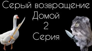 Серый возвращение домой 2 серия