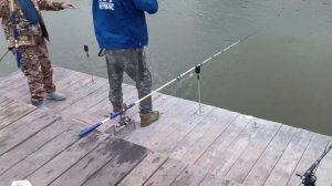 1000154726.mp4