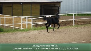 Аплодисменты РМ (ж) (Global Cashflow 1.12,7 – Активация РМ 2.02,7) 21.03.2025