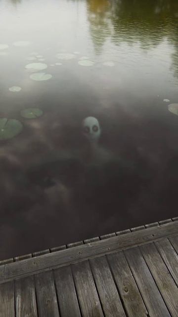 Fancy a swim?