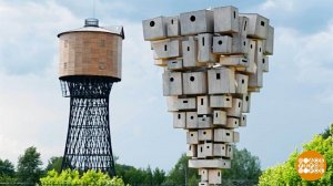 Выкса, фестивальный город. Доброе утро. Фрагмент выпуска от 18.06.2026