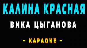 Караоке Вика Цыганова - Калина красная