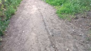 Опять-таки веселье