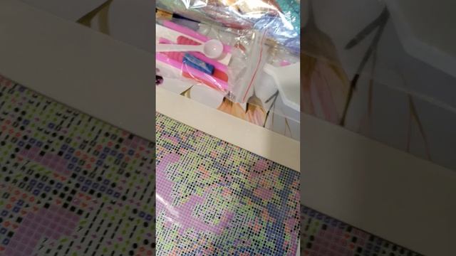 1000039663.mp4