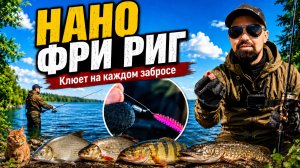 Эта оснастка ловит ДАЖЕ белую рыбу! Нано фри-риг в деле!