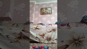 5366.mp4