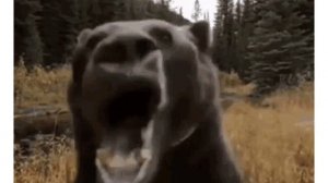 берите кто хочет!!!