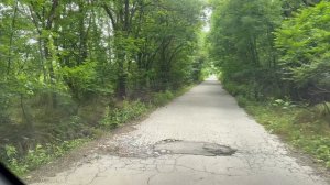 Самое трогательное спасение: В глаза  собаки -матери невозможно смотреть