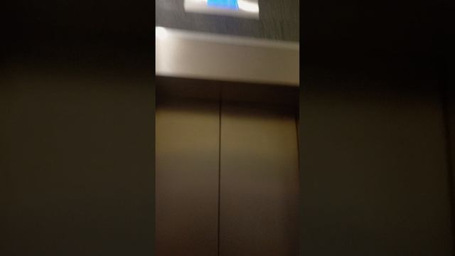 обзор квартиры