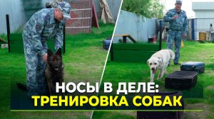 В салехардской кинологической службе пополнение