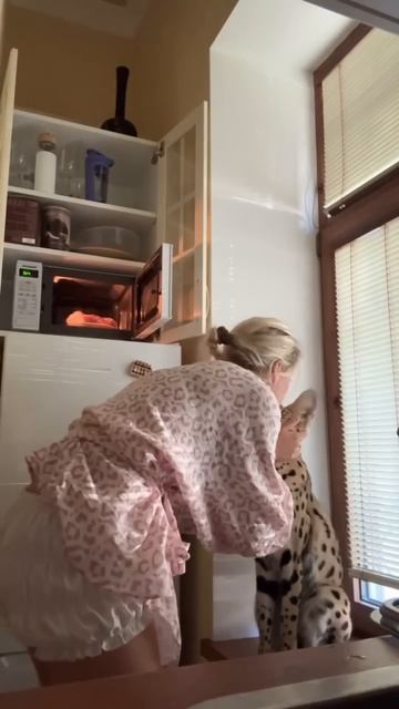 Дочи же на помощь маме, да ?🤭 новая квартира 27кв.м, поэтому мы в тесноте, но не в обиде 🤫
