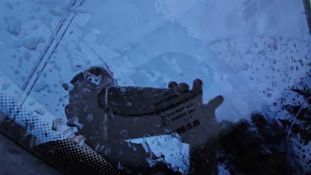 1000412891.mp4 смотреть онлайн