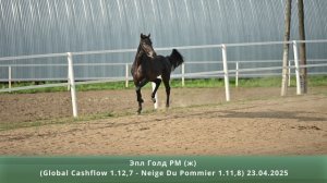 Эпл Голд РМ (ж) (Global Cashflow 1.12,7 - Neige Du Pommier 1.11,8) 23.04.2025
