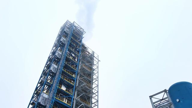 DecarbonX: Разработка фирменного стиля для глобального экологического старт