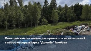 Полицейские составили два протокола за незаконный выброс мусора в парке «Дружба» Тамбова