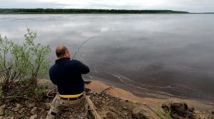 Рыбалка на фидер / Эти рыбы гнут спиннинг в дугу / Рабочая прикормка собрала стаю рыбы