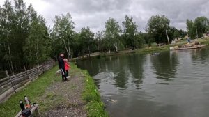 Подсак в воду