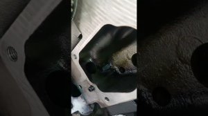 ман тгл D0836 заливаем масло в маслонасос