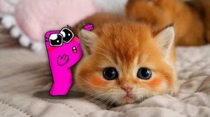 Мультики для детей .Детские мультики.Яркие мультики