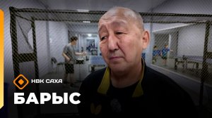 «Барыс»  (18.06.26)