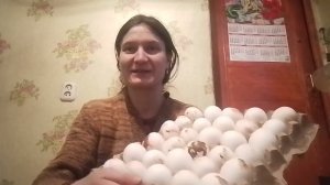 ОБЗОР НАШИХ ПОКУПОК 11.11.2025 НА 15000 ТЕНГЕ С БАЗАРА/РЫНКА! ПРОДУКТЫ. БИМЕ ОШЕЙНИК, МАМЕ ЛЕКАРСТВО