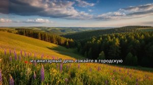 Муж тайком вынес из дома все деньги на отпуск. Жена хотела скандал, но узнав правду, разрыдалась…