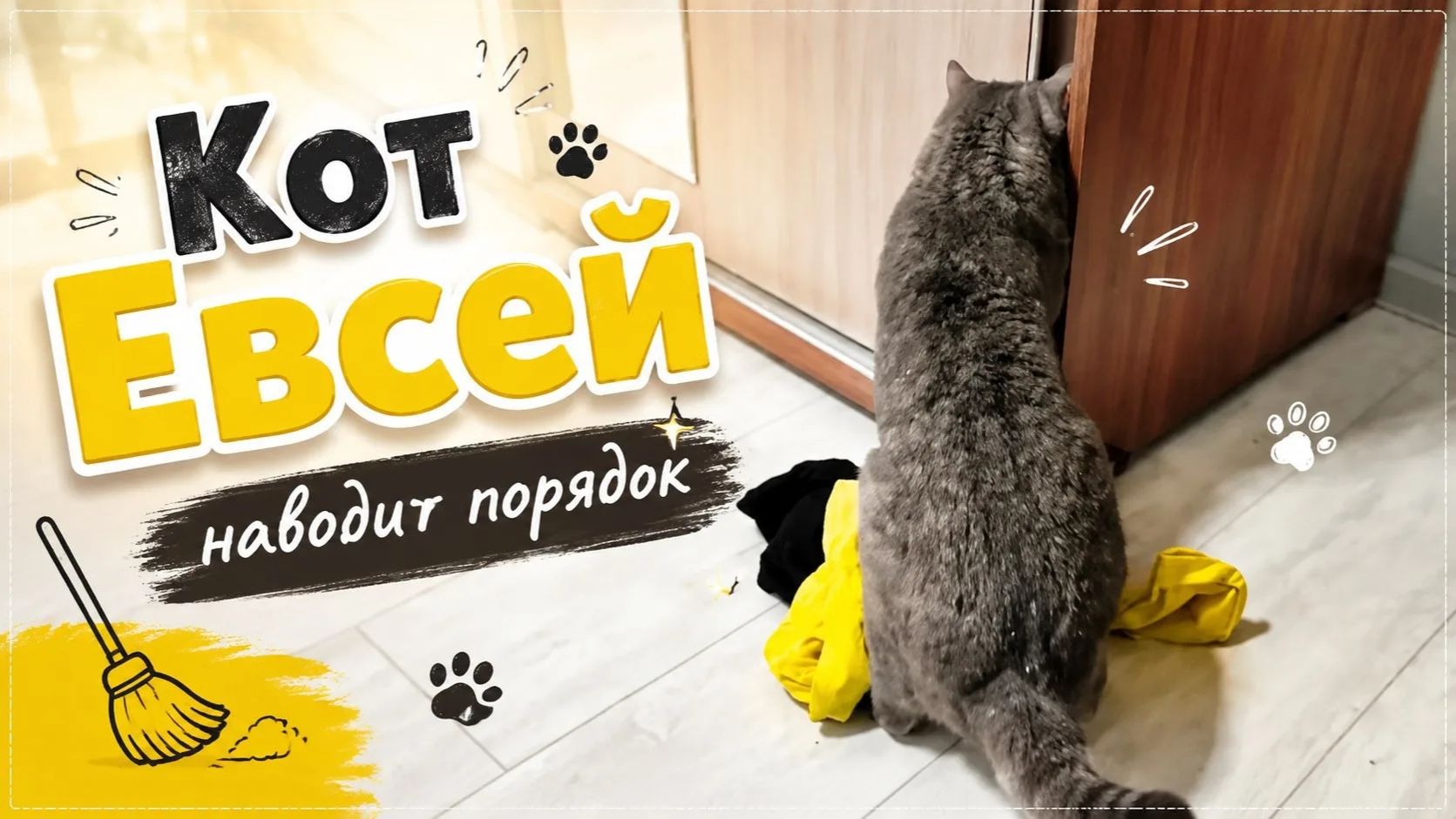 Кот Евсей наводит порядок